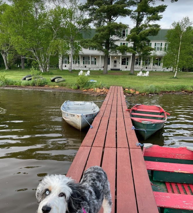 Birch Lodge (Birch Lodge Motel) - From Website (newer photo)